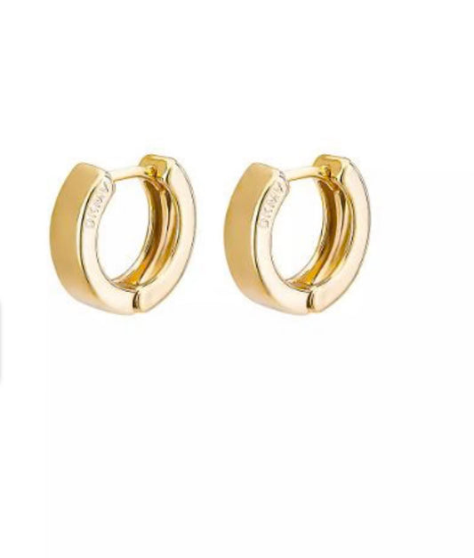 Not Yer Average Mini Hoop Earrings by Don’t Kill My Vibe.