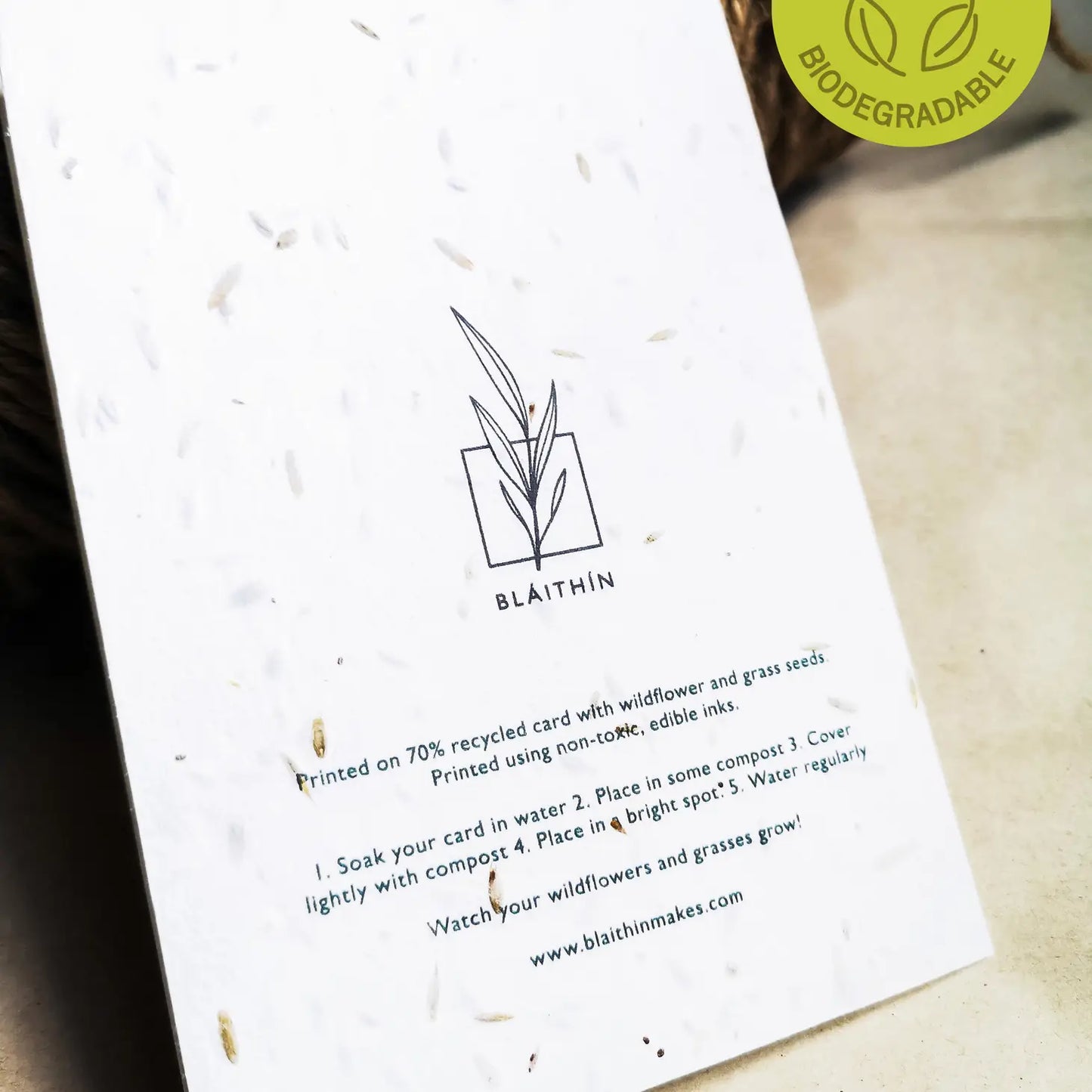 Comhghairdeas | Irish Congratulations Plantable Card
