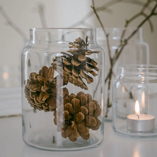 Large Fir Glass Vase