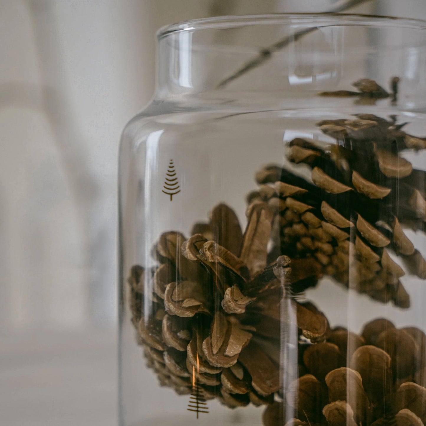 Large Fir Glass Vase