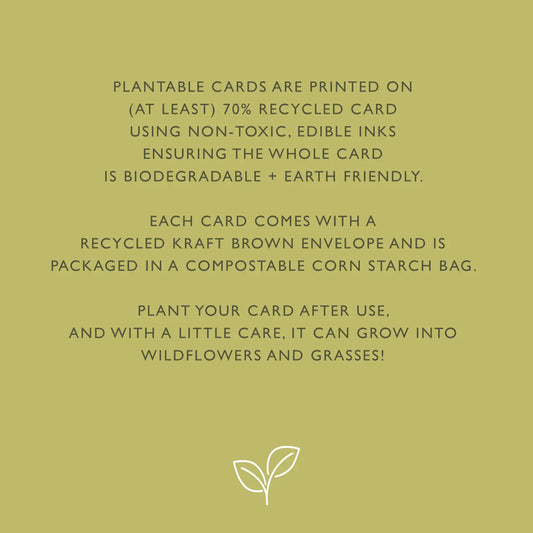 Welcome Little One Plantable Greeting Card